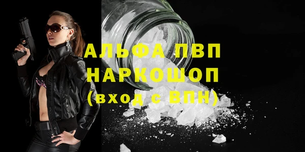 PSILOCYBIN Кулебаки