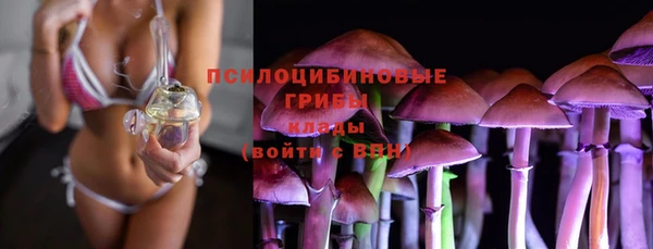 метадон Армянск