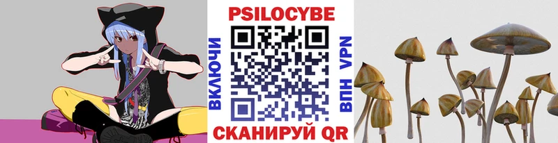 Псилоцибиновые грибы прущие грибы  Сорск 